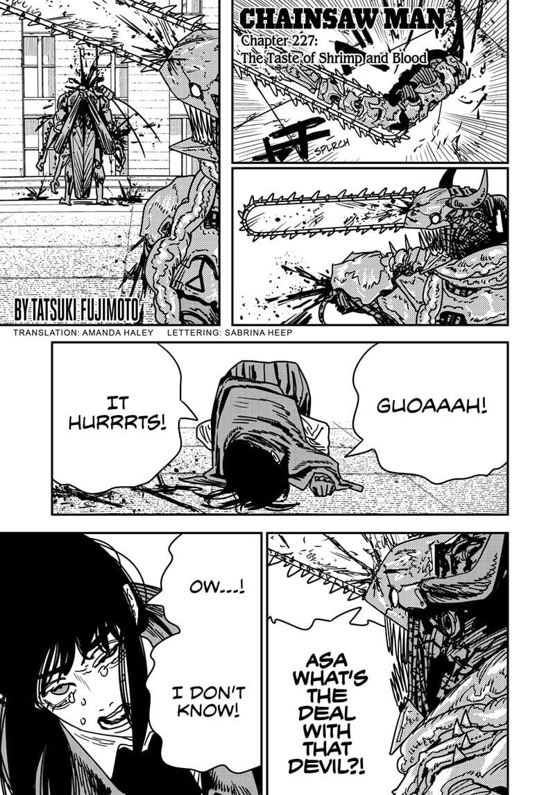 Chainsaw Man Chapter 227 - Image 1